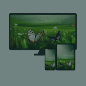 Cable TV Video Distribution: Ensuring competitive advantage through digital transformation